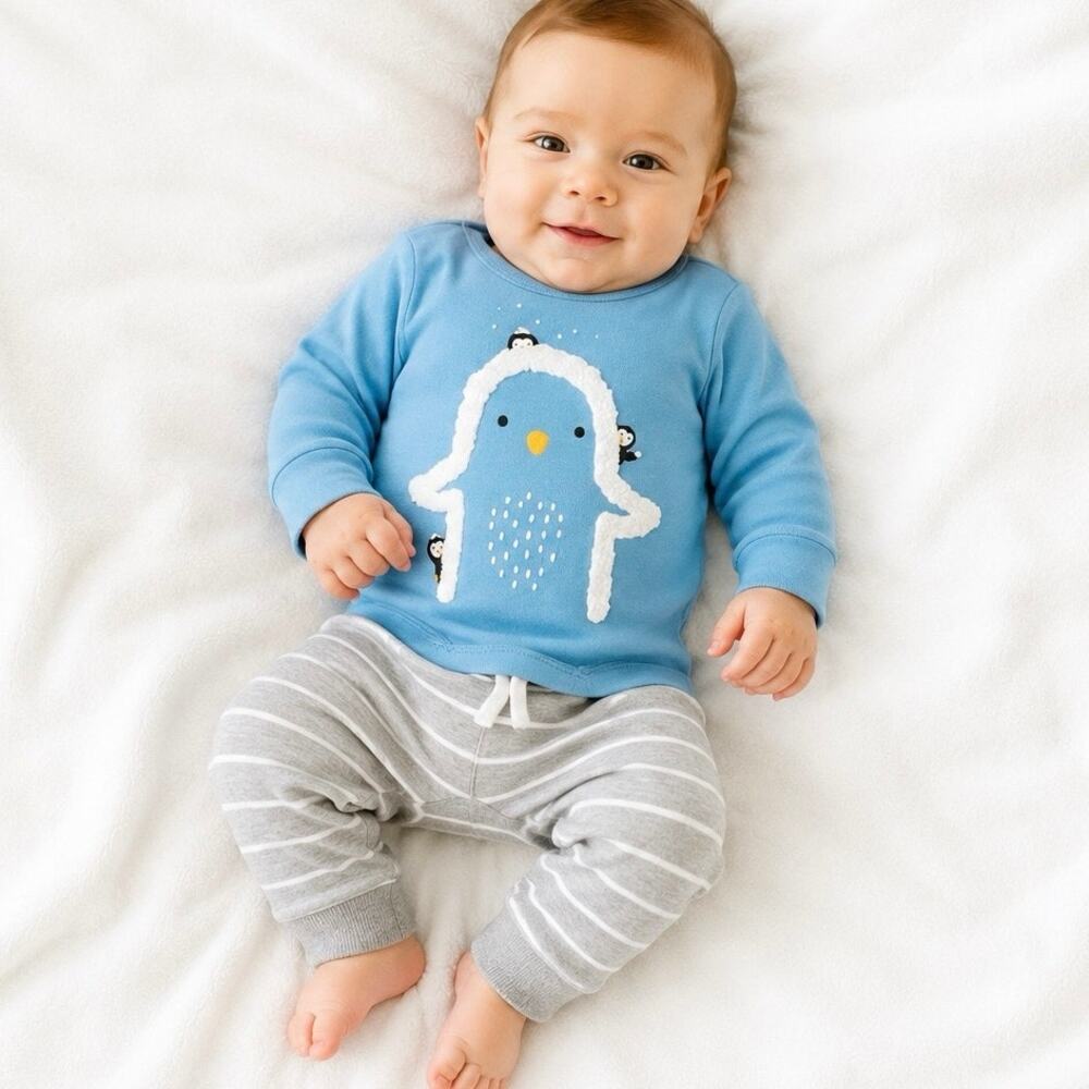 Carter’s Penguin 2Pc Outfit Set 3M Blue Gray Cozy Baby Winter NWT